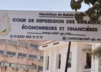 Affaire de détournement présumé aux Impôts : Mamadou Dian Diallo devant la CRIEF