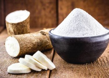 L’Éthiopie explore la production locale d’amidon pharmaceutique à base de manioc